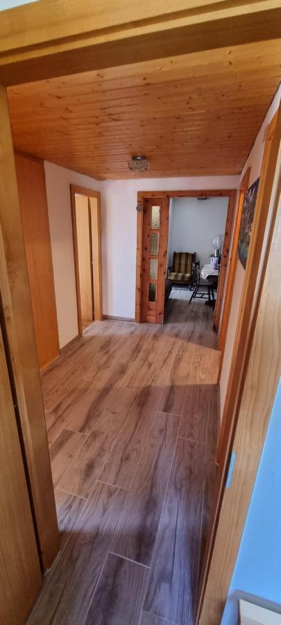 Le Panorama - Appartement à Arolla face aux montagnes à 150m des pistes Evolène Exterior foto