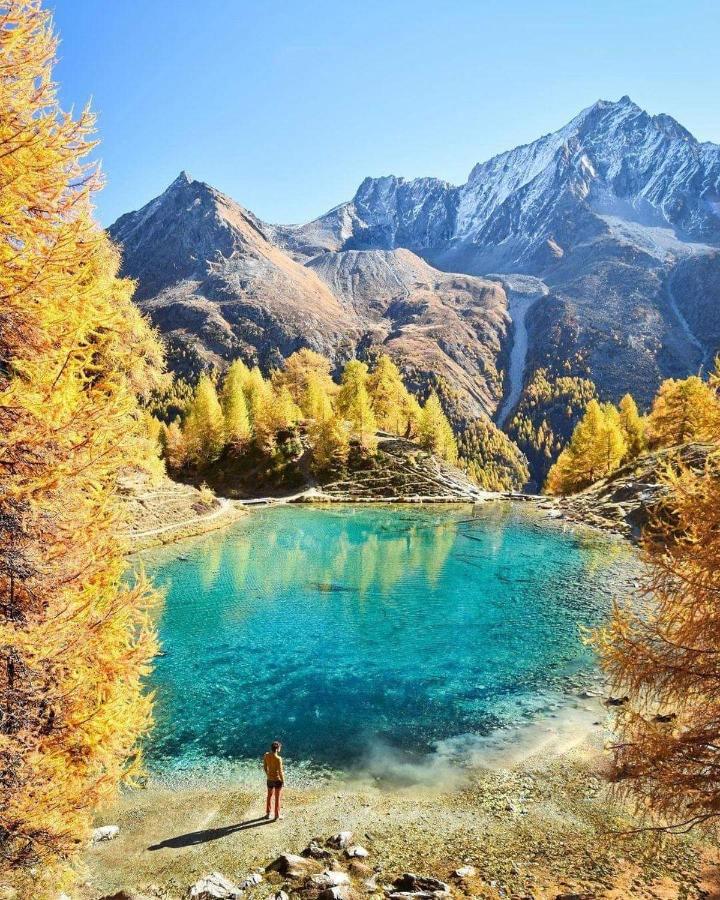Le Panorama - Appartement à Arolla face aux montagnes à 150m des pistes Evolène Exterior foto