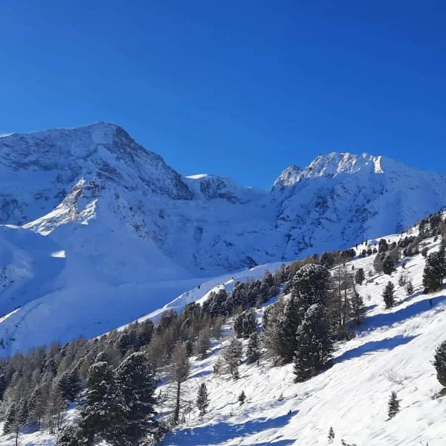 Le Panorama - Appartement à Arolla face aux montagnes à 150m des pistes Evolène Exterior foto